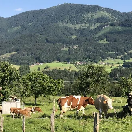 Nyaraló Hans In The Schusterhaeusl *